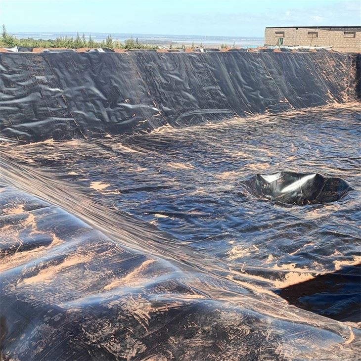 Hdpe Sheet Geomembrane